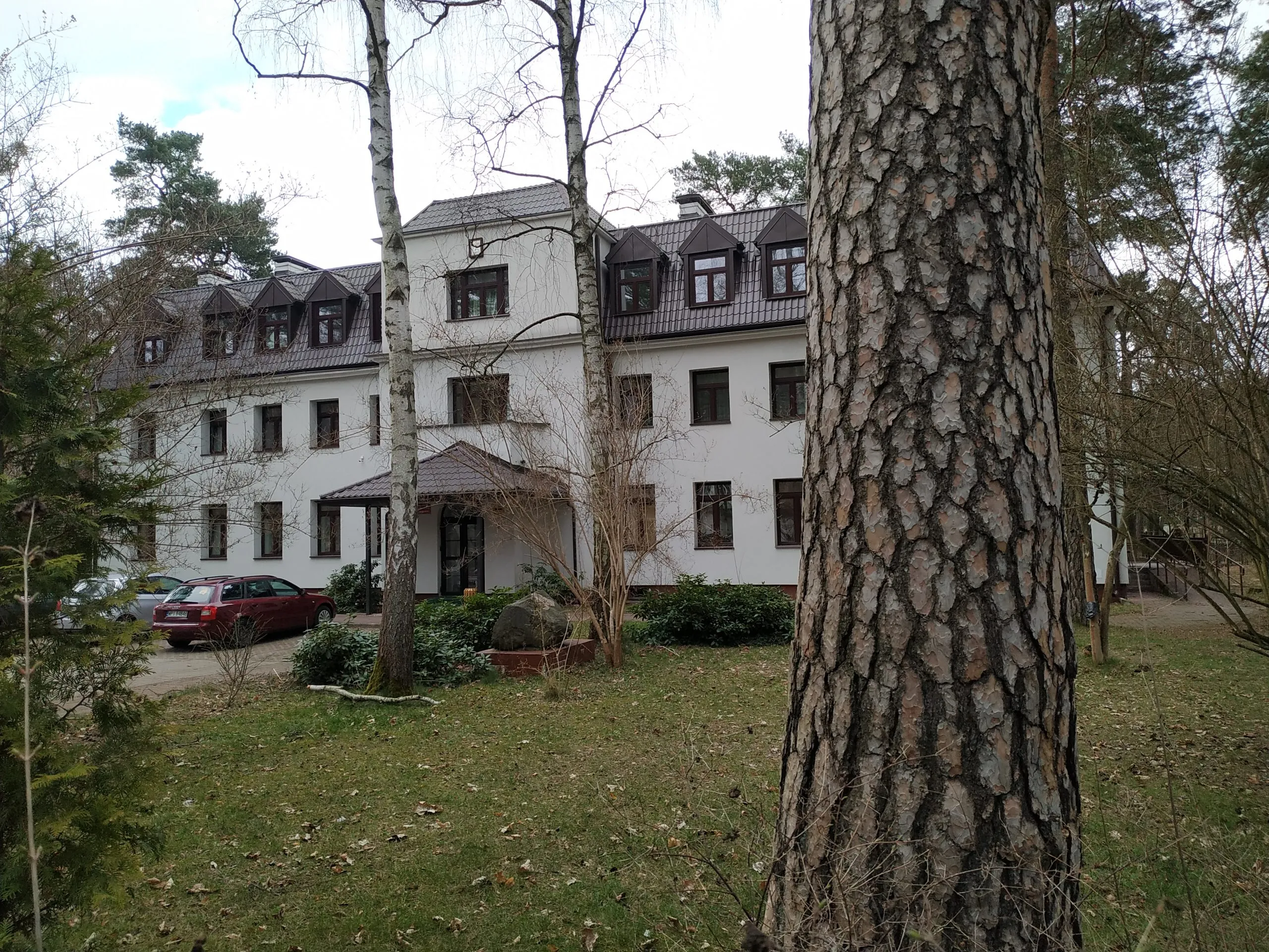 Uczniowie na wolontariacie