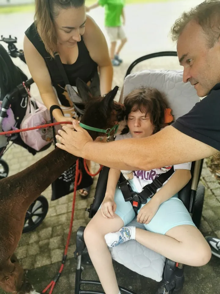 Uczniowie na uroczyste zakończenie cyklu zajęć z Alpakoterapii