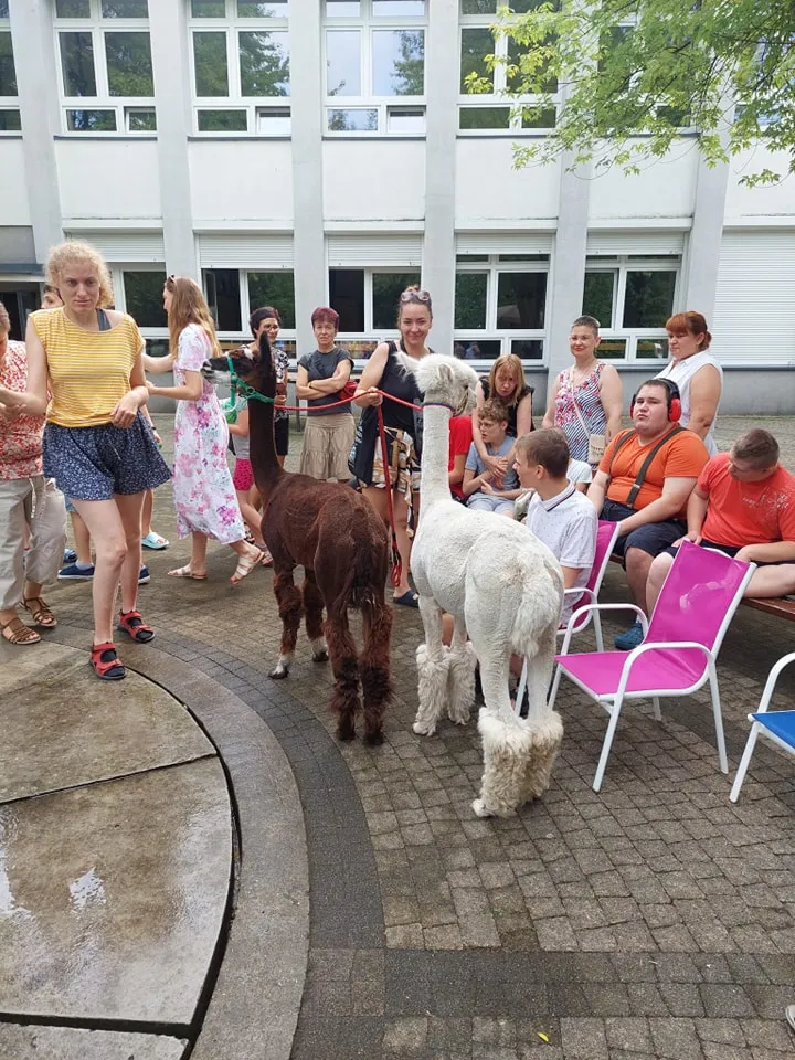 Uczniowie na uroczyste zakończenie cyklu zajęć z Alpakoterapii