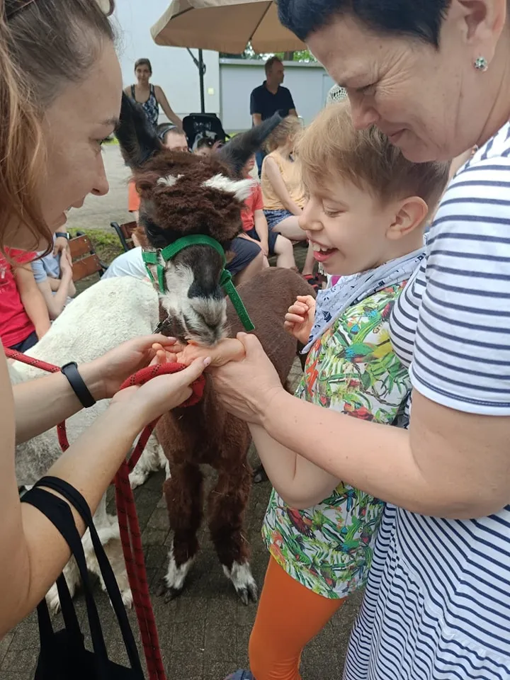 Uczniowie na uroczyste zakończenie cyklu zajęć z Alpakoterapii