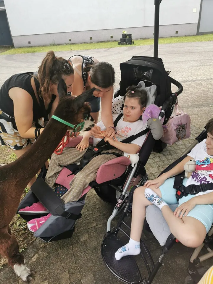 Uczniowie na uroczyste zakończenie cyklu zajęć z Alpakoterapii