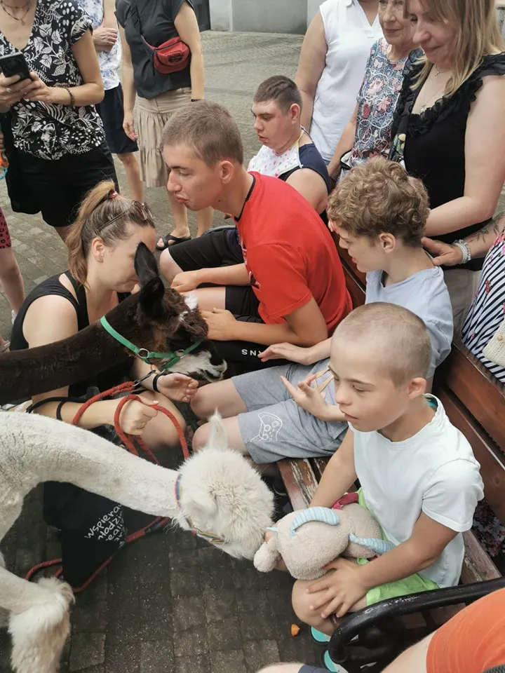 Uczniowie na uroczyste zakończenie cyklu zajęć z Alpakoterapii