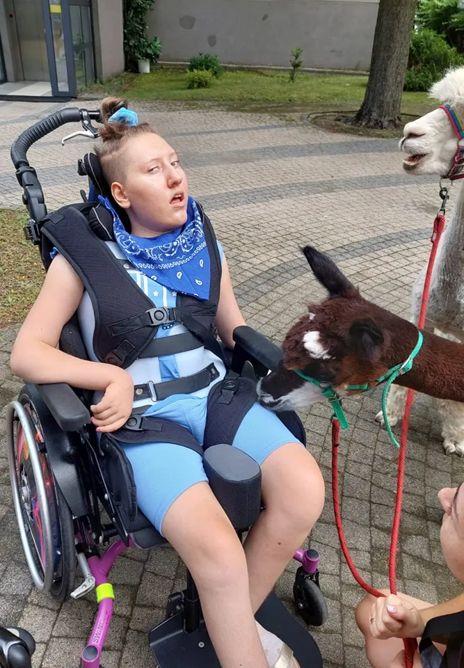 Uczniowie na uroczyste zakończenie cyklu zajęć z Alpakoterapii