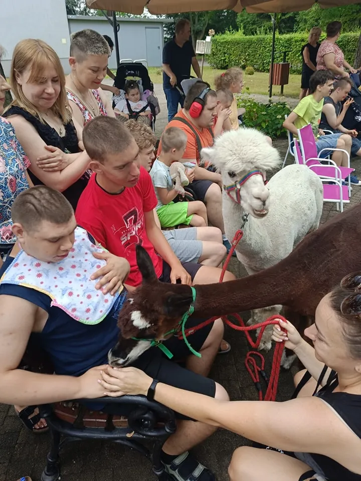 Uczniowie na uroczyste zakończenie cyklu zajęć z Alpakoterapii