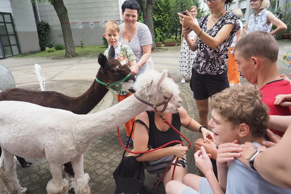 Uczniowie na uroczyste zakończenie cyklu zajęć z Alpakoterapii