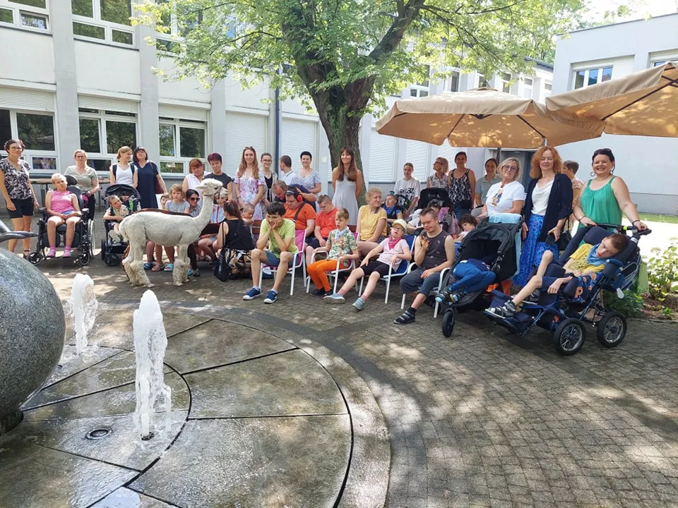 Uczniowie na uroczyste zakończenie cyklu zajęć z Alpakoterapii