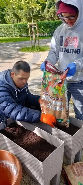 Uczniowie pracują w ogródku