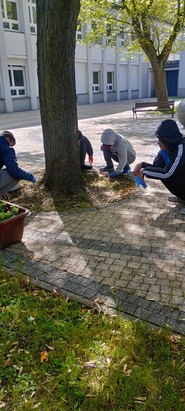 Uczniowie pracują w ogródku