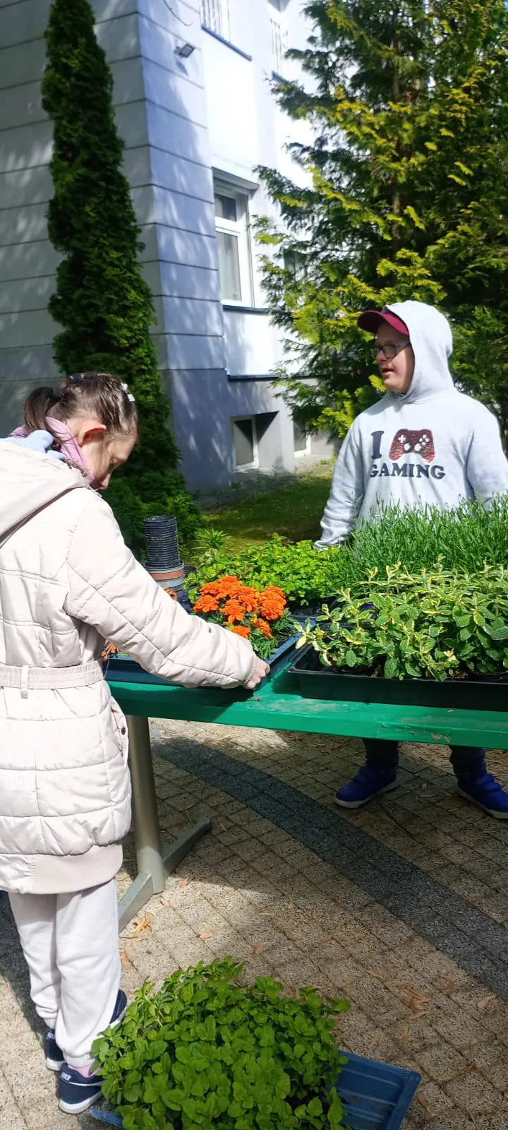 Uczniowie pracują w ogródku
