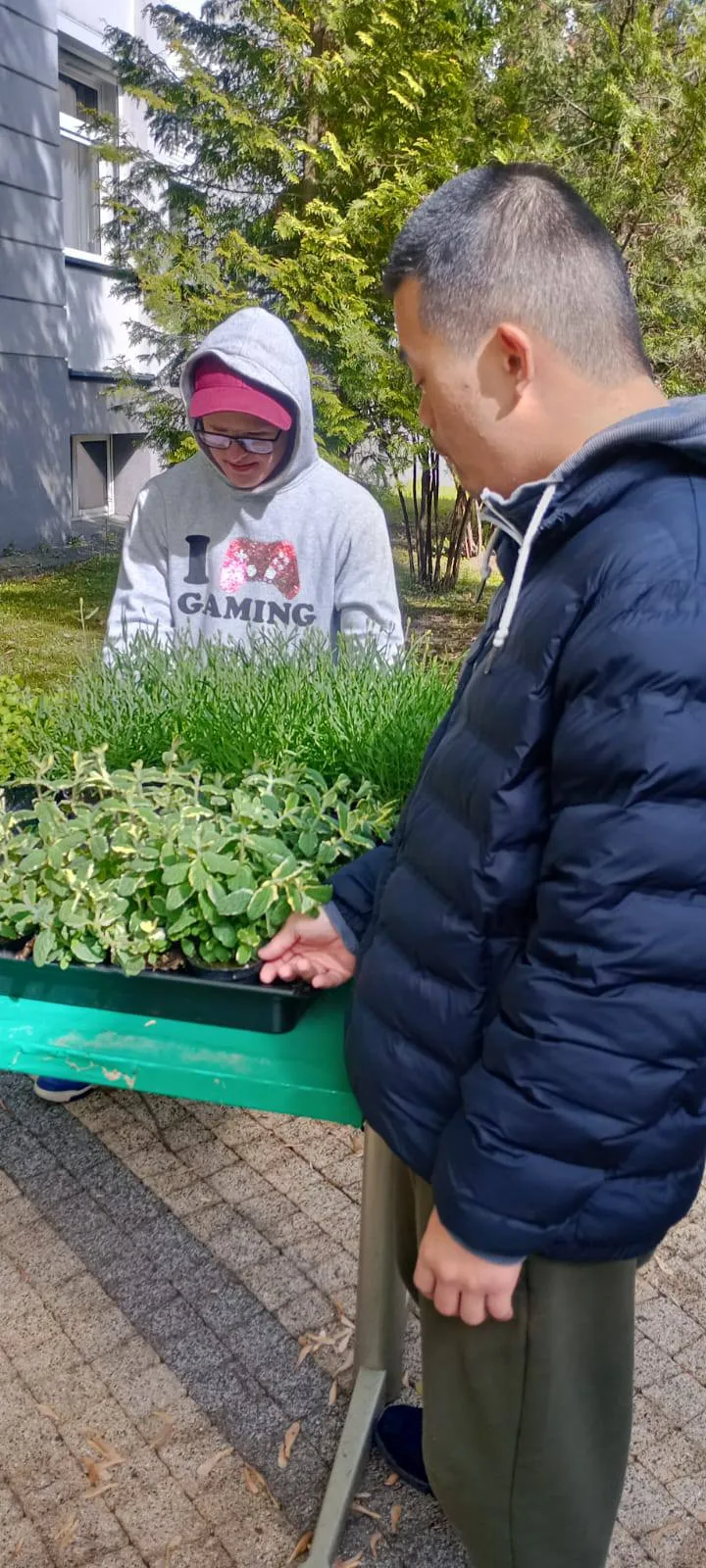 Uczniowie pracują w ogródku