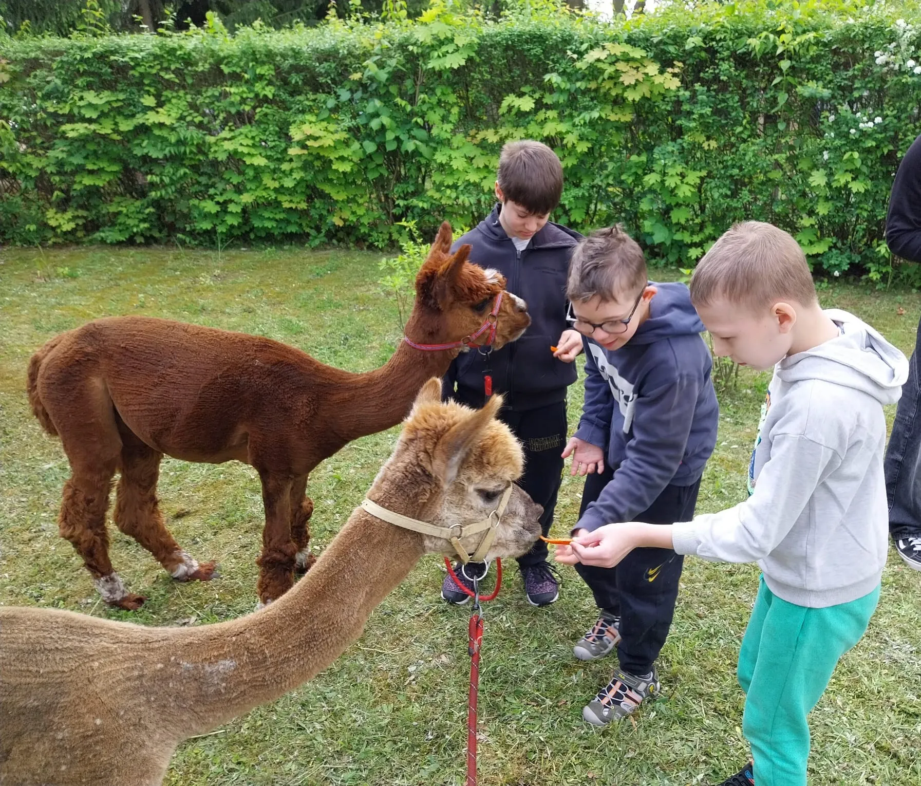 Uczniowie na wydarzeniu 'Zdrowo - sportowo