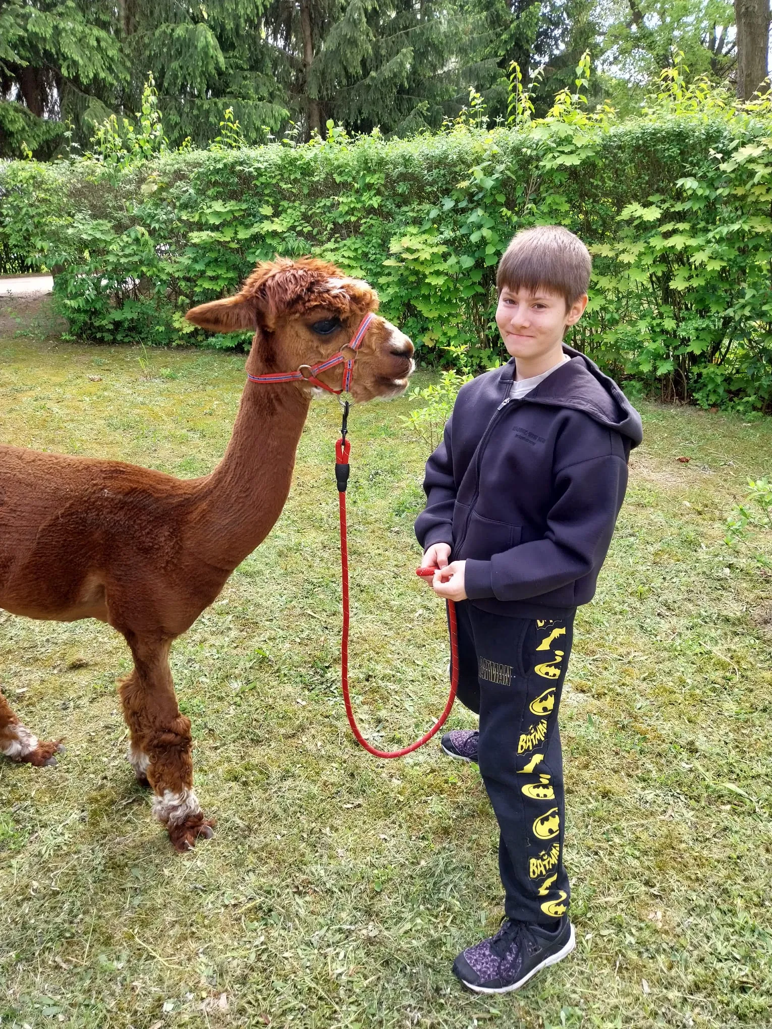 Uczniowie na wydarzeniu 'Zdrowo - sportowo